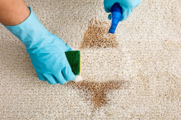 Как почистить ковролин в домашних условиях от пятен